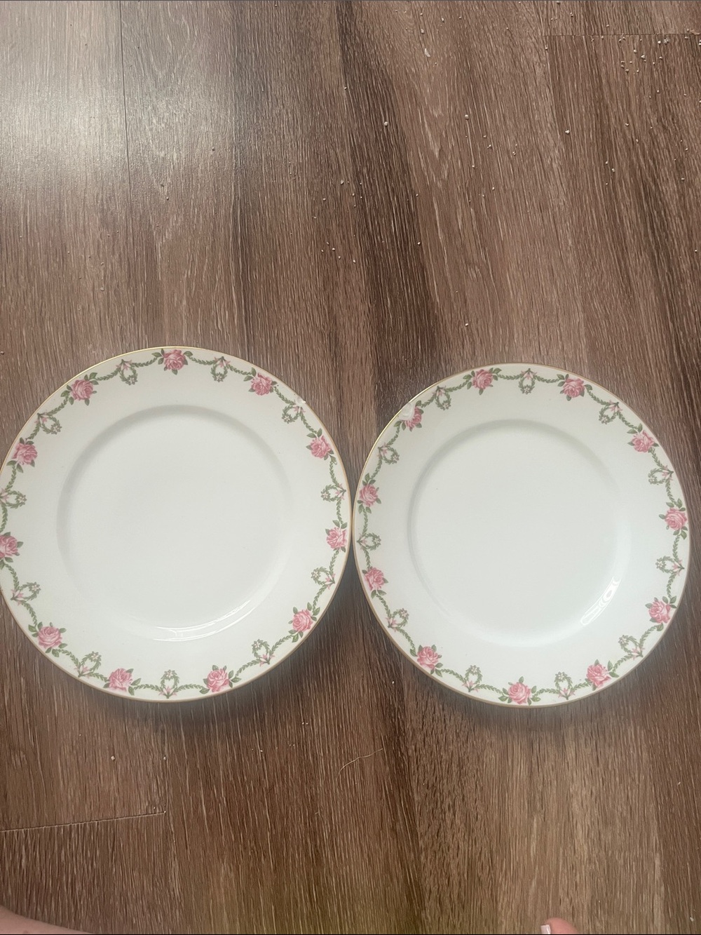 Classic Charles Ahrenfeldt Limoges Plates with Pink Roses and Green Swag